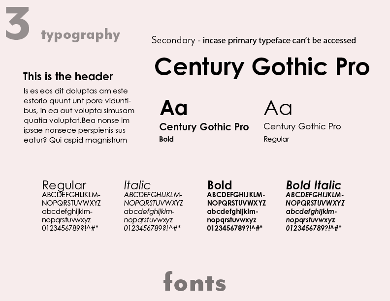 screenshot of the brand identity pages